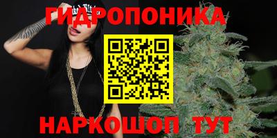 сатива Норильск