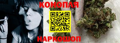 сатива Норильск