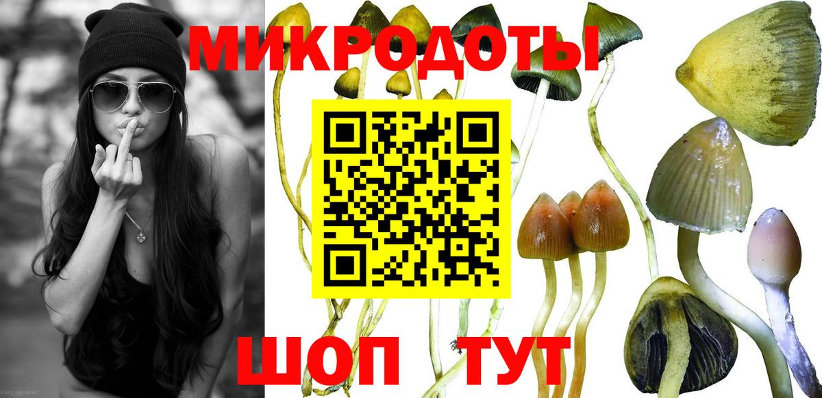 Псилоцибиновые грибы Psilocybine cubensis  Вход с VPN  Артёмовский 