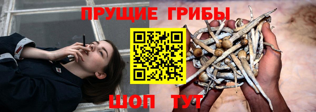 Галлюциногенные грибы Magic Shrooms Артёмовский